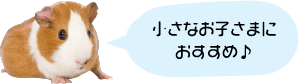 小さなお子さまにおすすめ♪